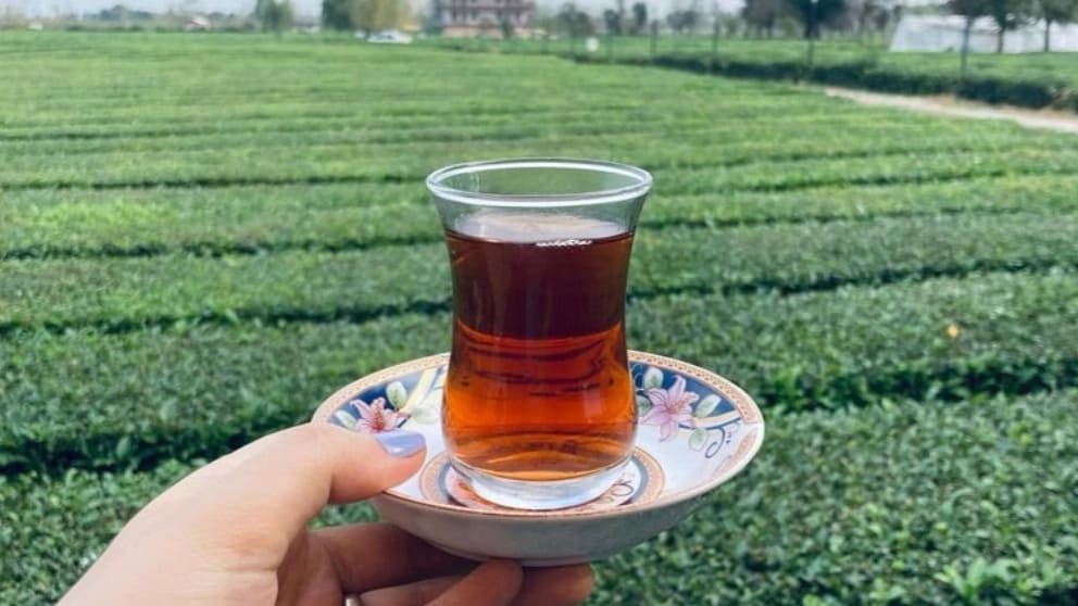 معروفترین سوغاتی های گیلان